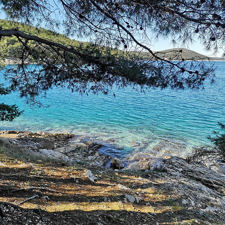 Villa Long Island Luxury Residence, Sali Dugi Otok-Private Parking,Next To Beach Exteriör bild